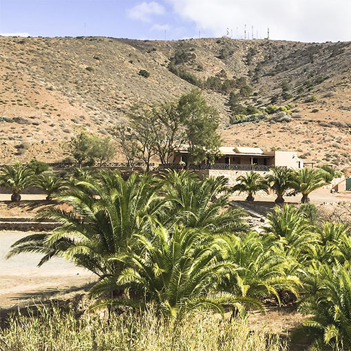 Naturaleza de Parra Medina Fuerteventura.