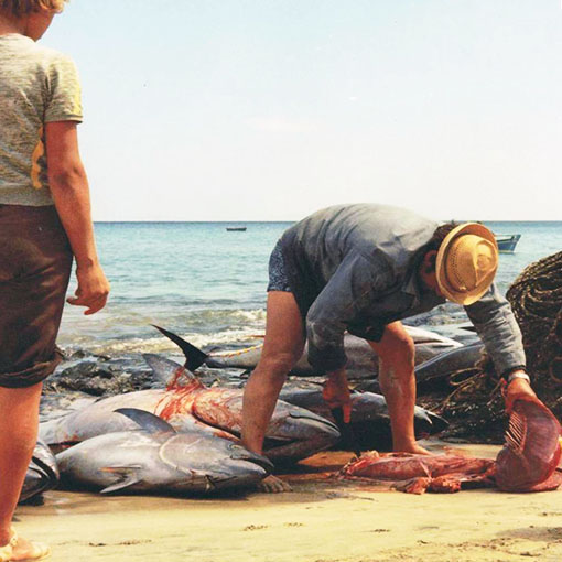 Thunfischfang – auch heute nur mit Haken und Leine.