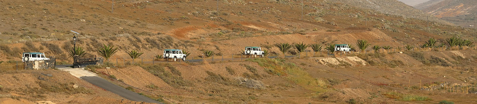 Geführte Exkursionen auf Fuerteventura.