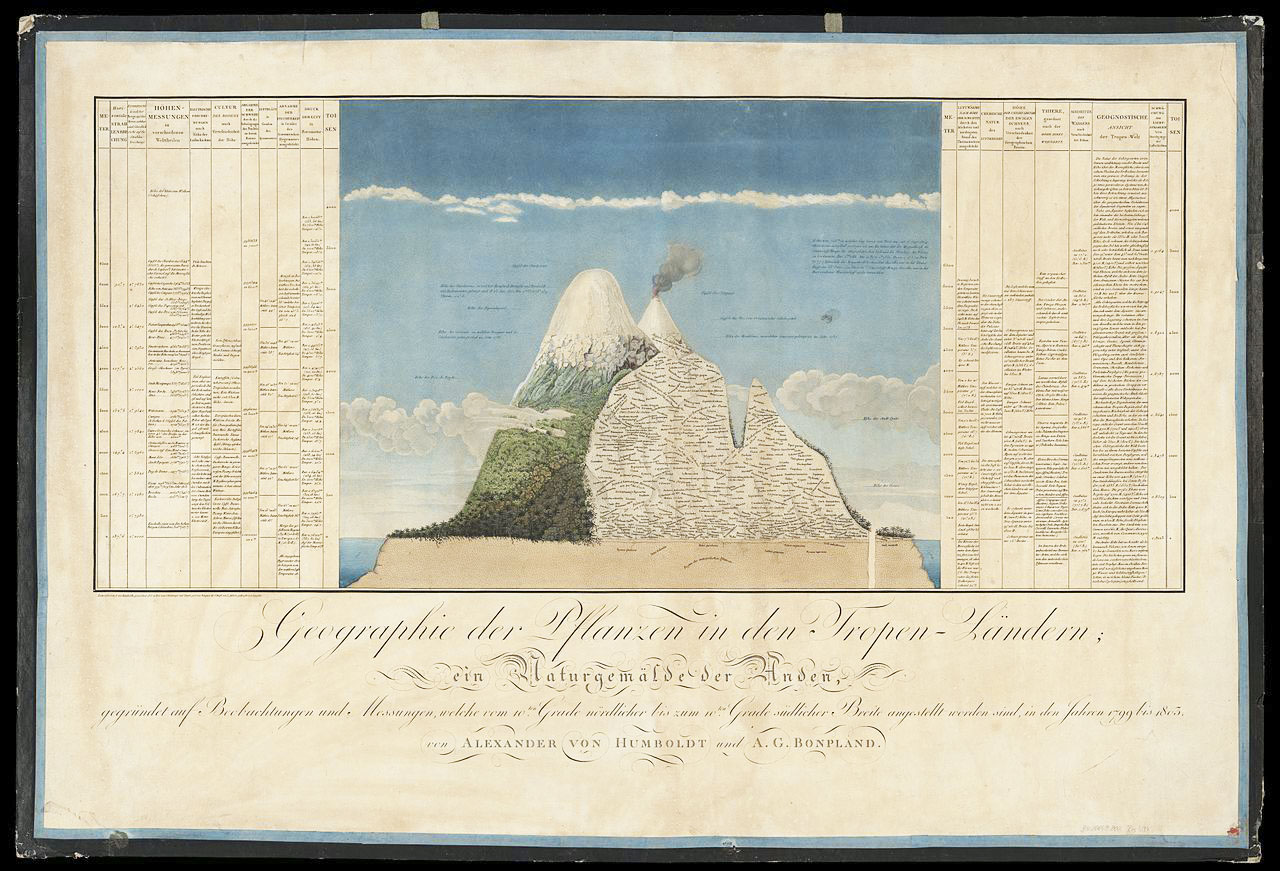 Alexande von Humboldt, Abbildung aus Ideen zu einer Geographie der Pflanzen nebst einem Naturgemälde der Tropenländer, Paris 1805.