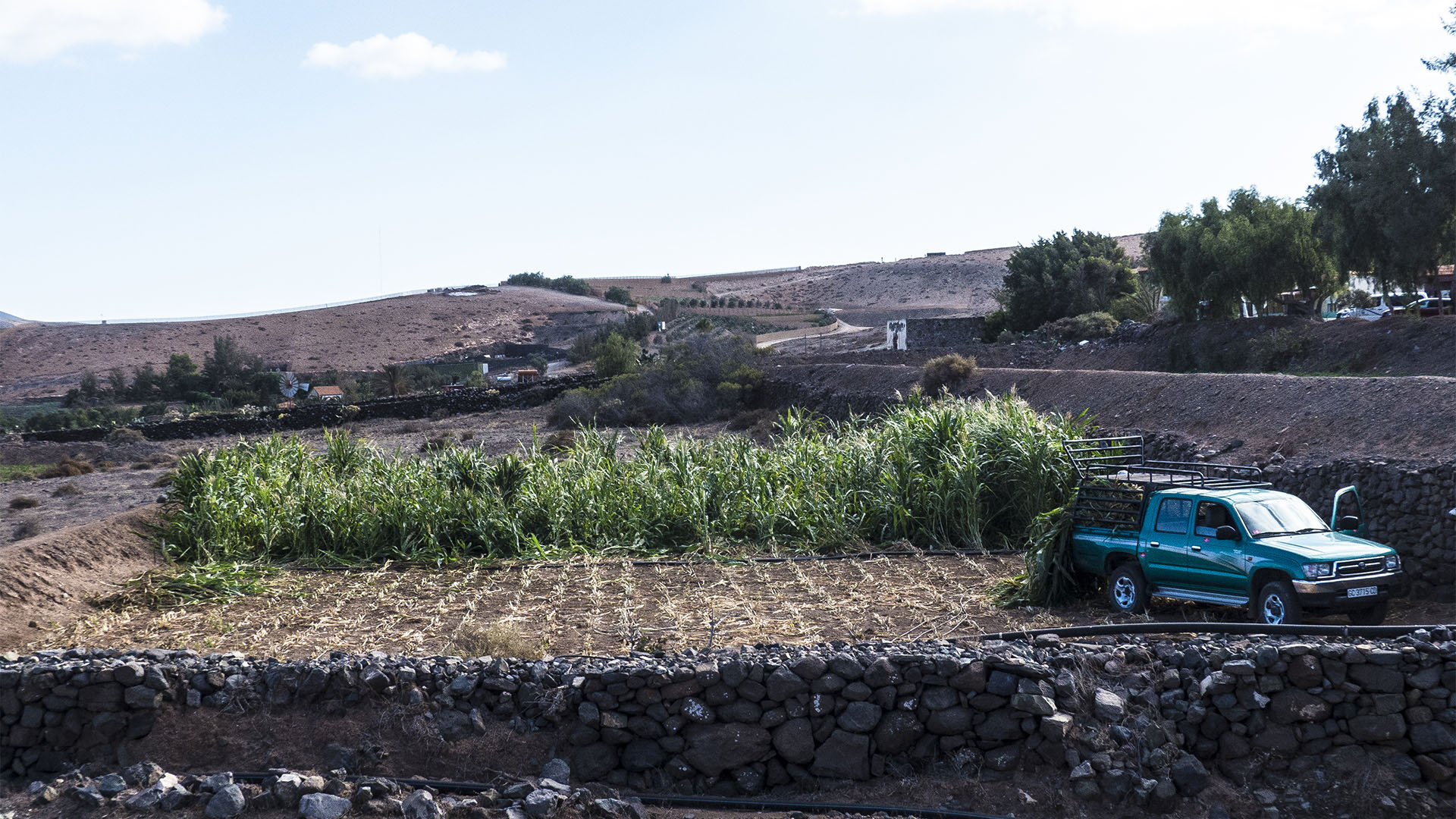 Fuerteventura Inselrundfahrt Südschleife – El Cardón klassische Landwirtschaft mit Gavias.
