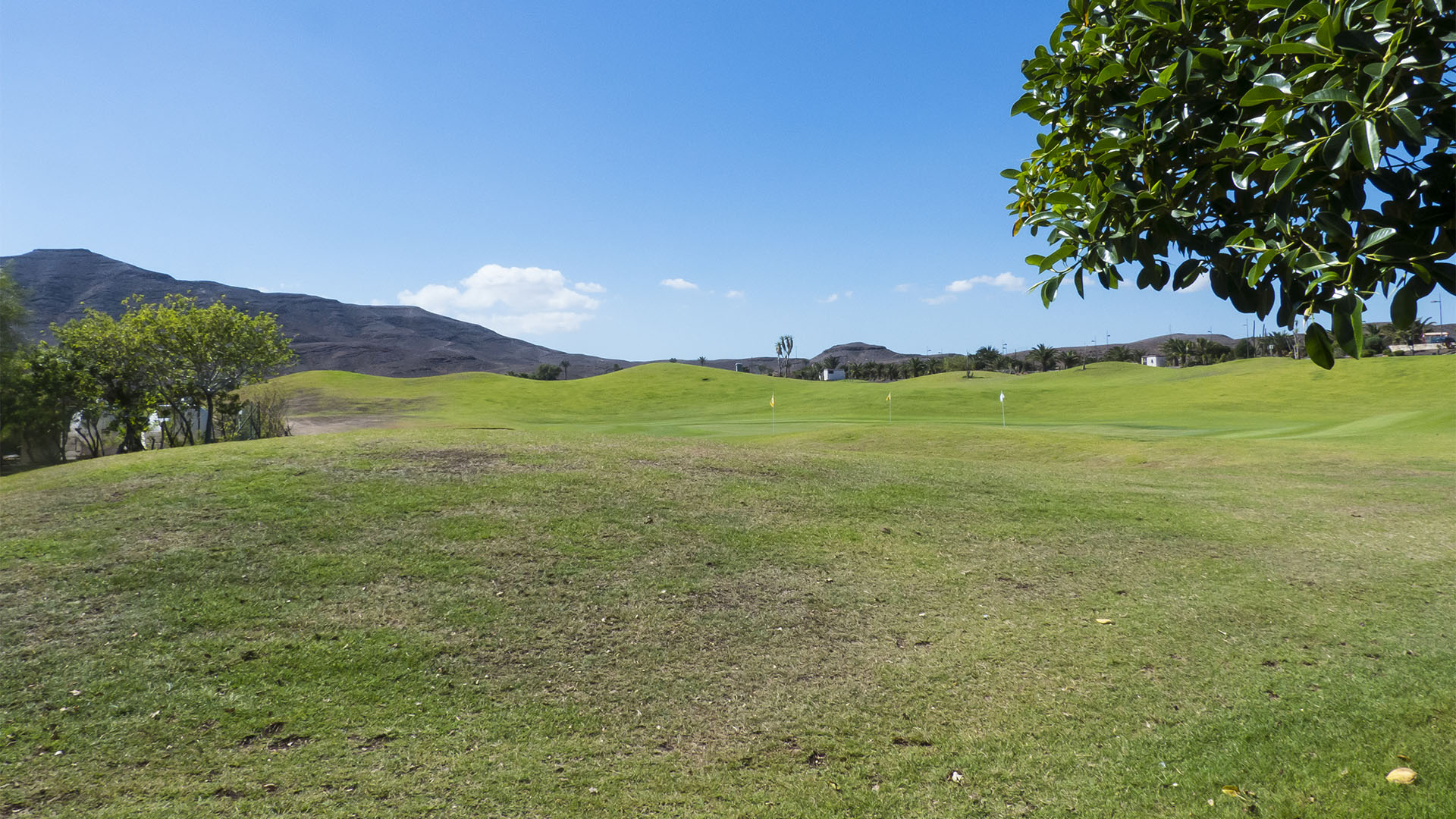 Golfen auf Fuerteventura – Playitas Golf