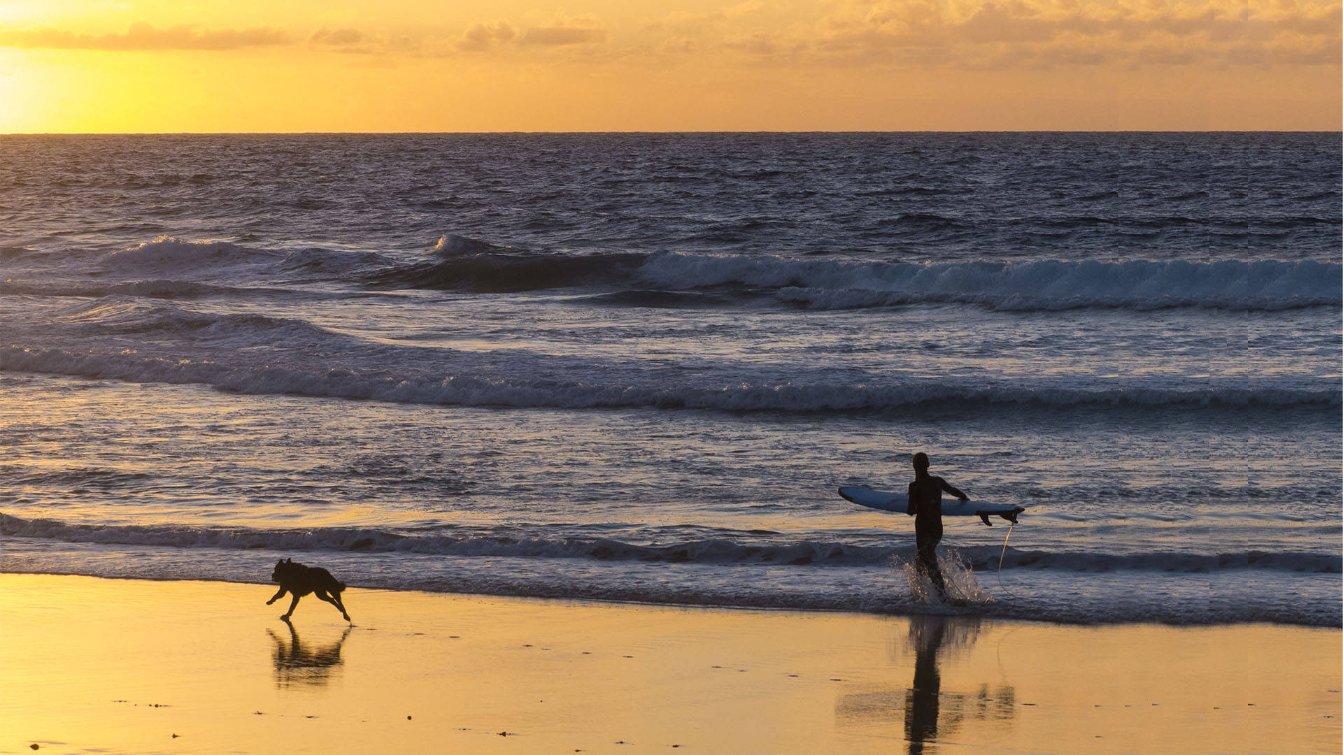 Sunset Surfen auf Fuerteventura – eines vom Schönsten.