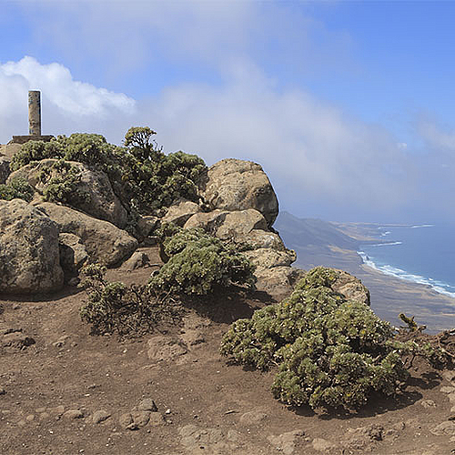 Auf den Pico de la Zarza, höchster Berg von Fuerteventura.