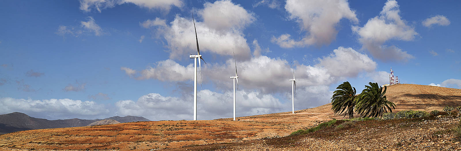 Green Energy Fuerteventura – El Time – Naturgy.