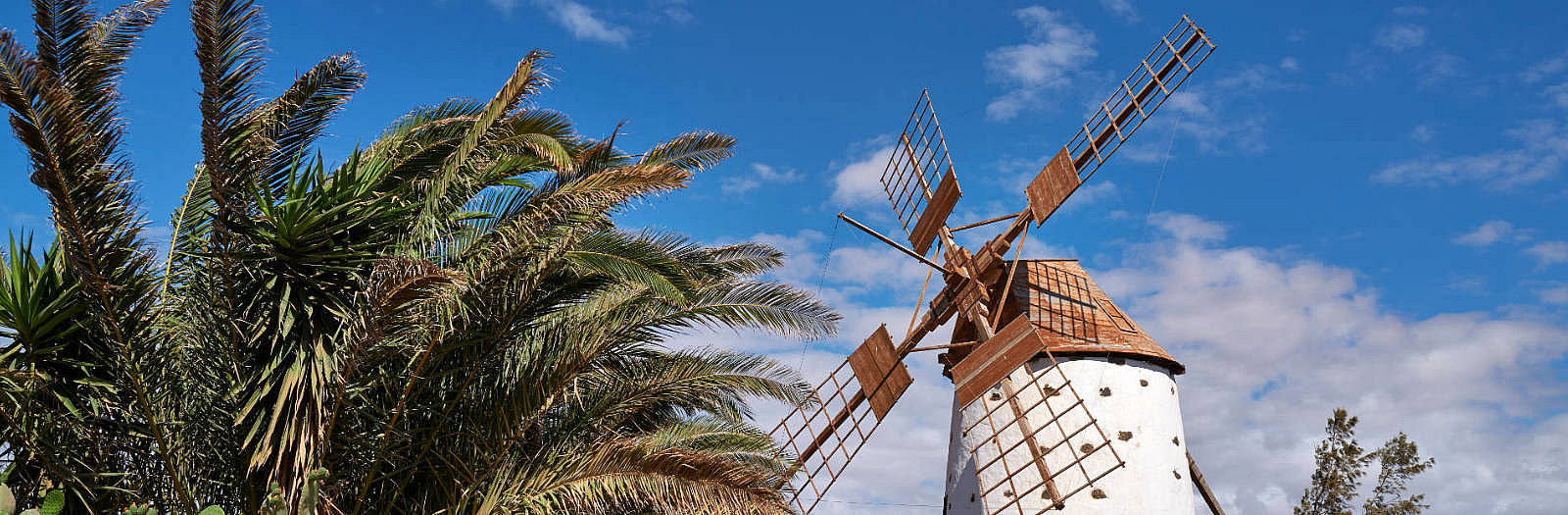 Die Windmühle von El Roque auf Fuerteventura.