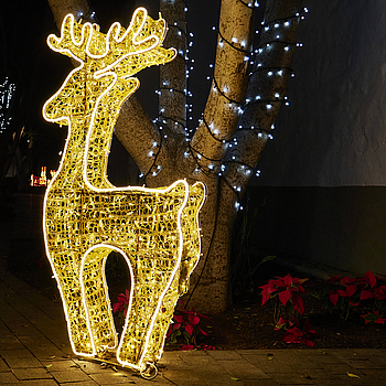Das weihnachtliche Pájara auf Fuerteventura am 7. Dezember 2023.