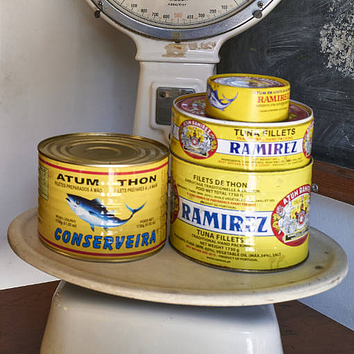 Auch ohne Konserve – Fisch haltbar machen.