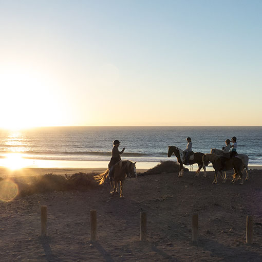 Reiten auf Fuerteventura.