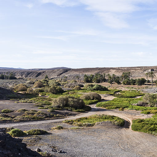 Campen im Puerto de la Torre Fuerteventura.