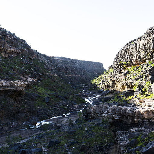 Wandern durch den Barranco Esquinzo zum Playa de Esquinzo.