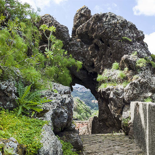 Jardín Botánico Canario Viera y Clavijo.