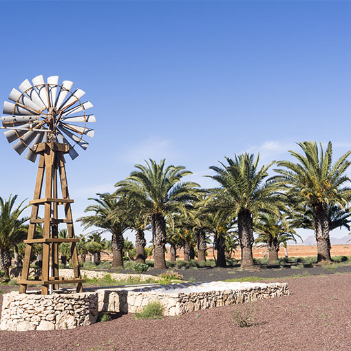 Museo del Queso Majorero Antigua Fuerteventura.