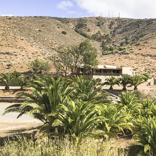 Wandern im Naturpark Parra Medina: Durch den Barranco de Acebuche auf den Morro del Humilladero.