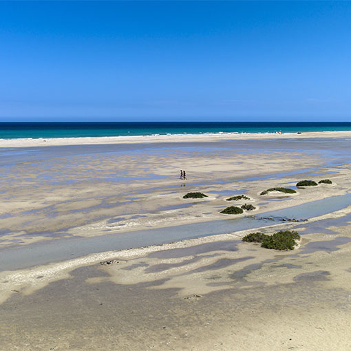 Traumstrände der Costa Clama Fuerteventura.