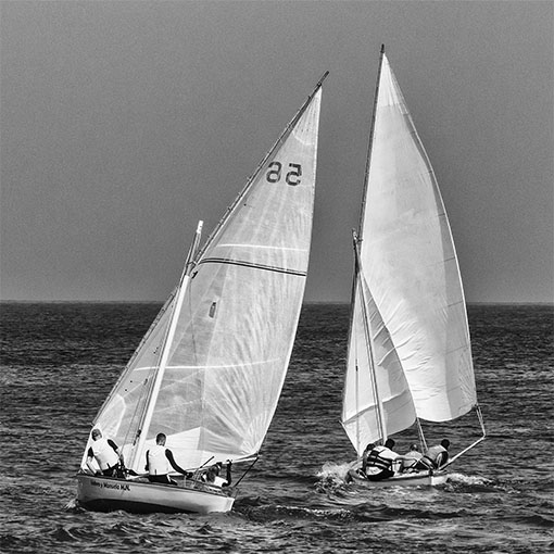 Regata Vela Latina Corralejo Fuerteventura.