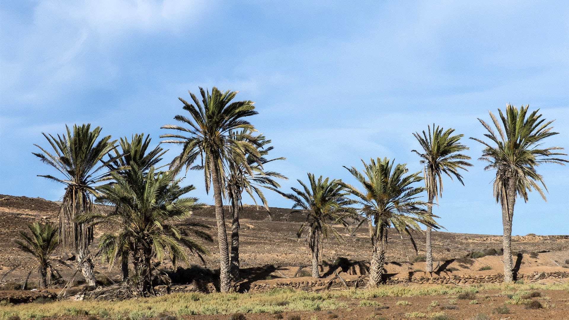 Sehenswürdigkeiten Fuerteventuras: Salinas del Carmen – Barranco del Torre