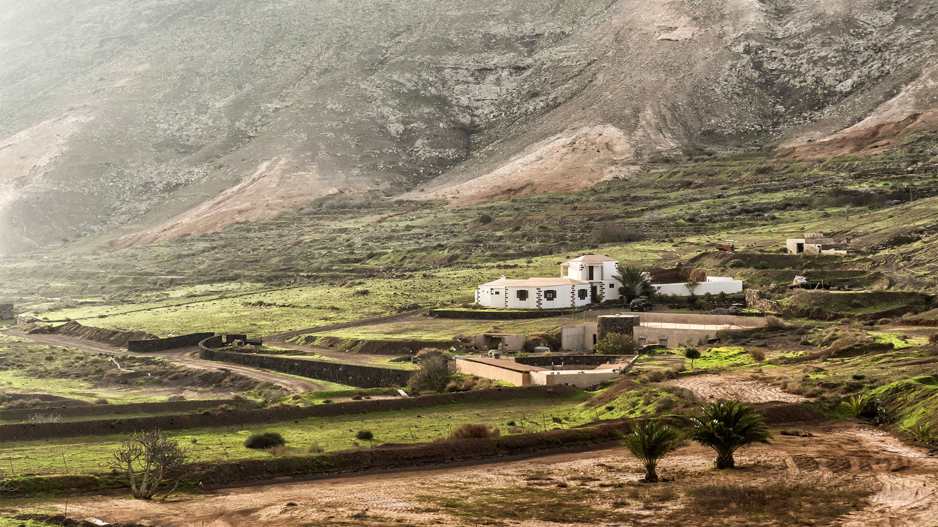 Sehenswürdigkeiten Fuerteventuras: Vallebrón – Mirador de Vallebrón y Fuente la Palma