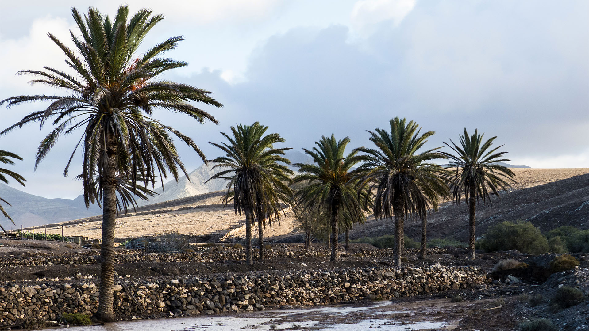 Sehenswürdigkeiten Fuerteventuras: Tindaya – Barranco Esquinzo