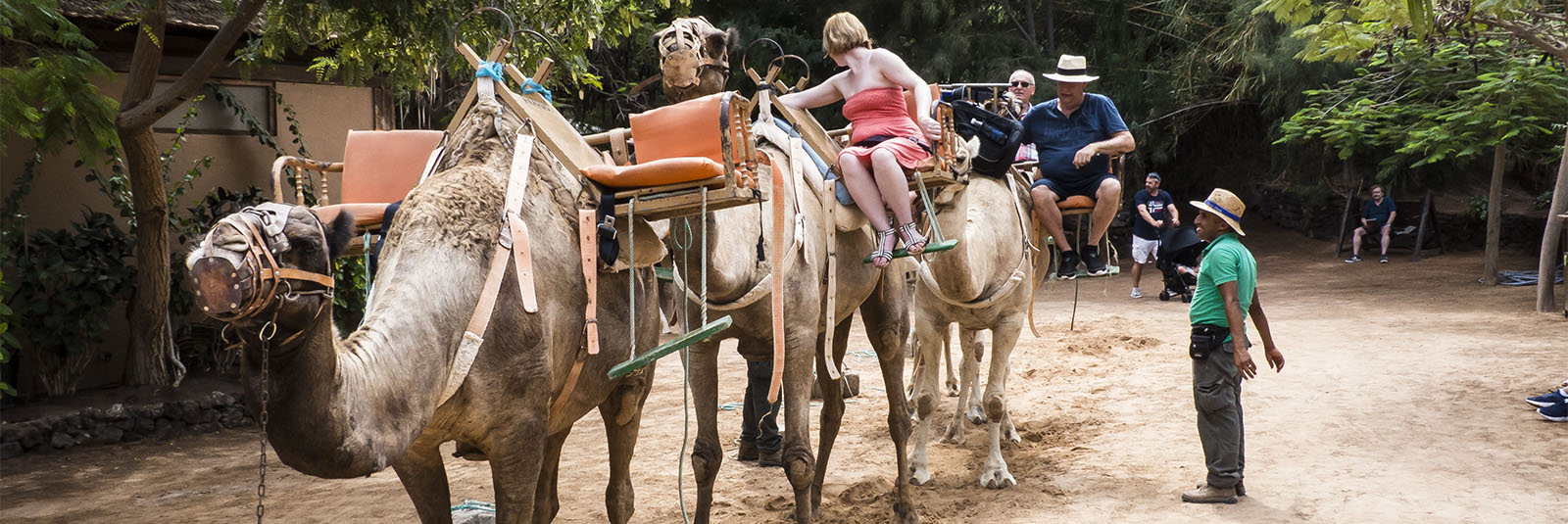 Oasis Park La Lajita – Tier- und Pflanzenwelten erleben.