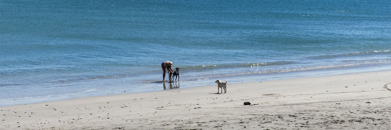 Die Strände Fuerteventuras: Playa de la Jaqueta.