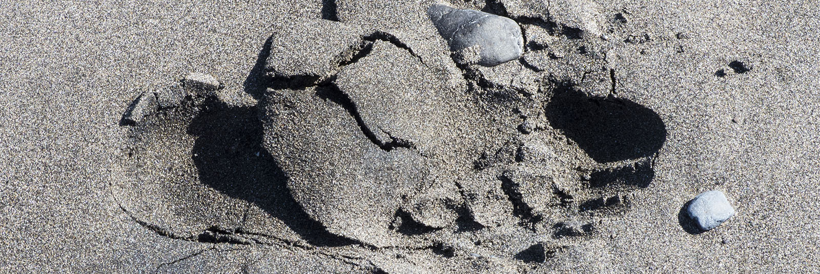 Die Strände Fuerteventuras: Playa de Taralalejo.