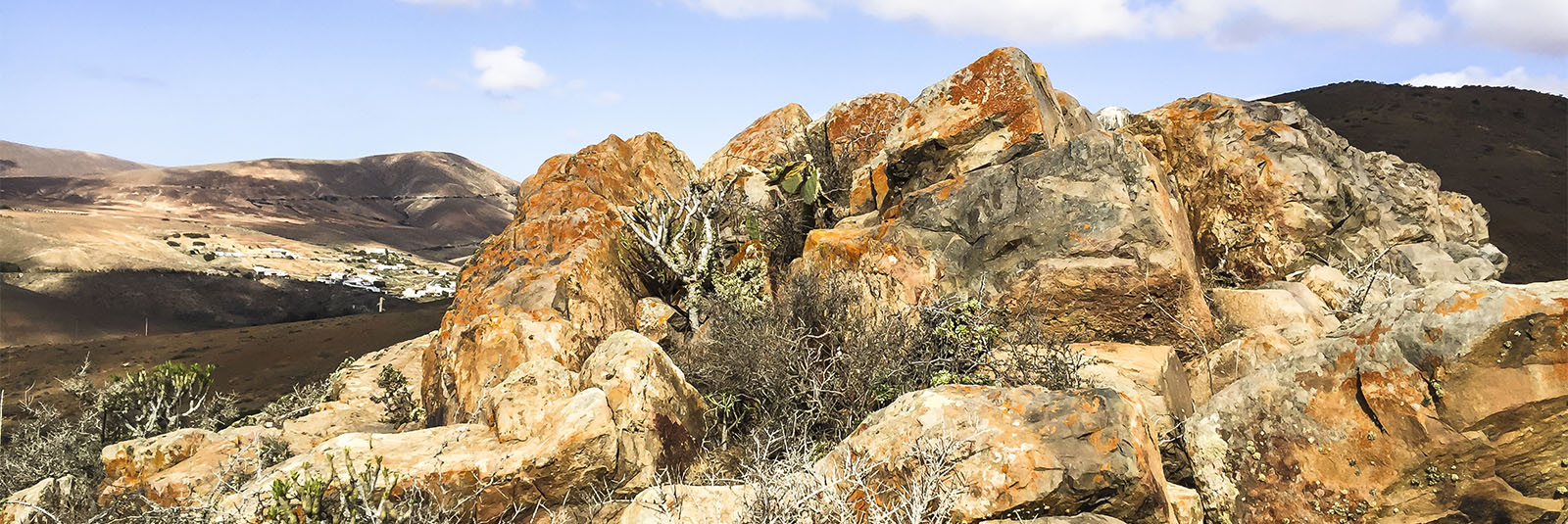 Wandern + Trekking auf Fuerteventura: Aula de la Naturaleza Parra Medina.