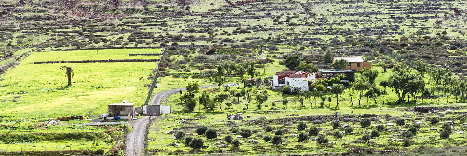 Wandern + Trekking auf Fuerteventura: Über das Valle de Tetir nach Tefía.