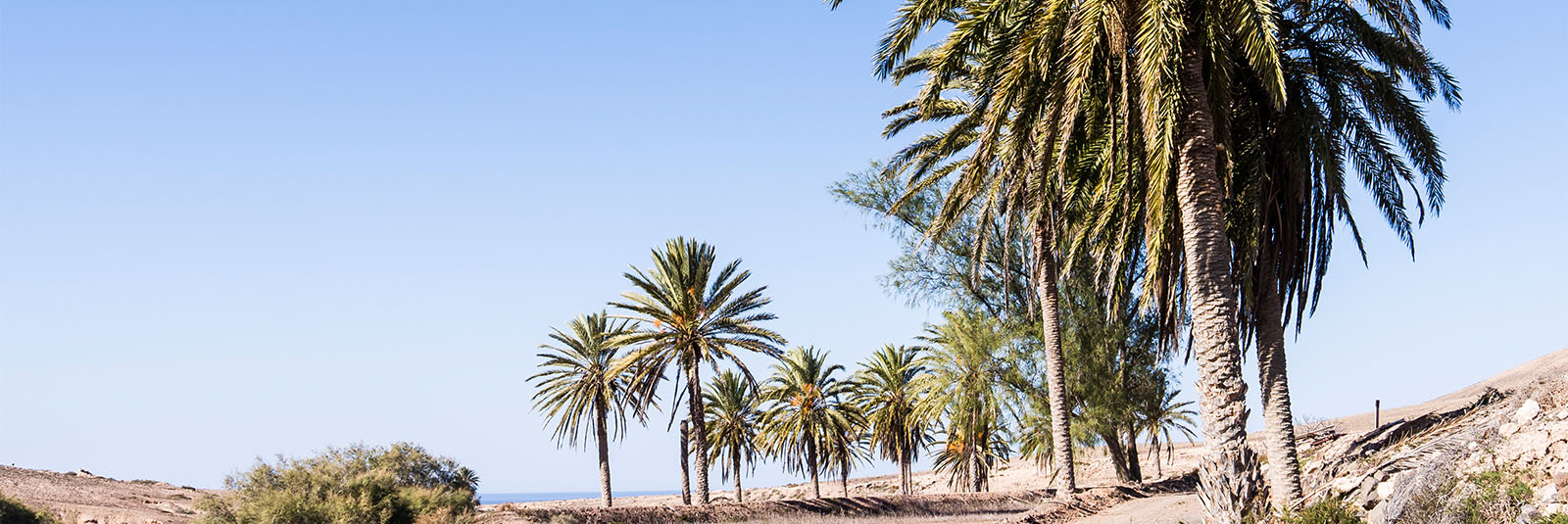 Wandern + Trekking auf Fuerteventura: Durch den Barranco Esquinzo nach El Cotillo.