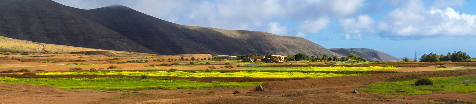 Die Landwirtschaft von La Matilla Fuerteventura.
