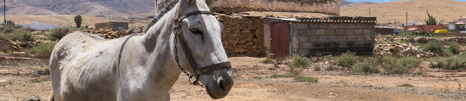 Der Ort Llanos de la Concepción Fuerteventura.