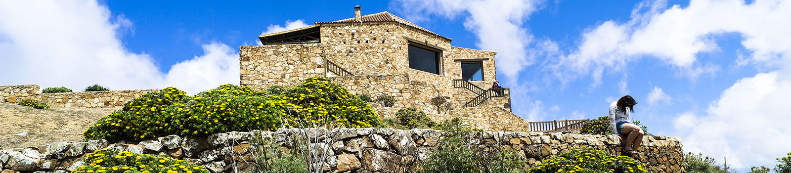 Blütenpracht in der "transición" Zone am Morro Velosa bei Betancuria Fuerteventura.