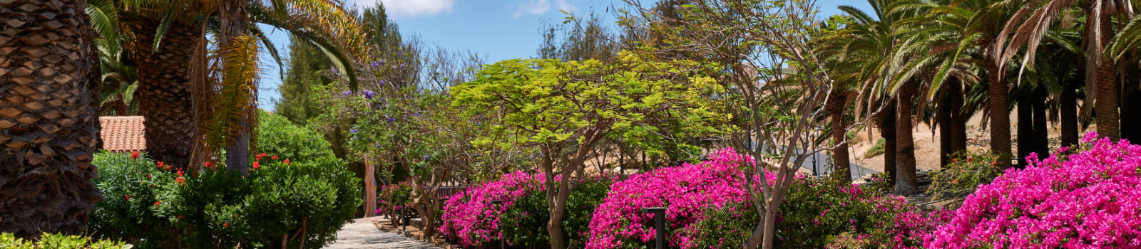 Der Ort Pájara auf Fuerteventura.