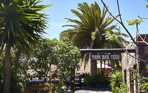 Gastronomie, einkaufen, Hotels und Appartements auf Fuerteventura.