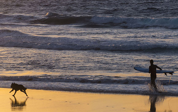 Aktiv auf Fuerteventura – Surfen, Sport, Wandern, Kultur, Fiestas, Karneval und mehr.
