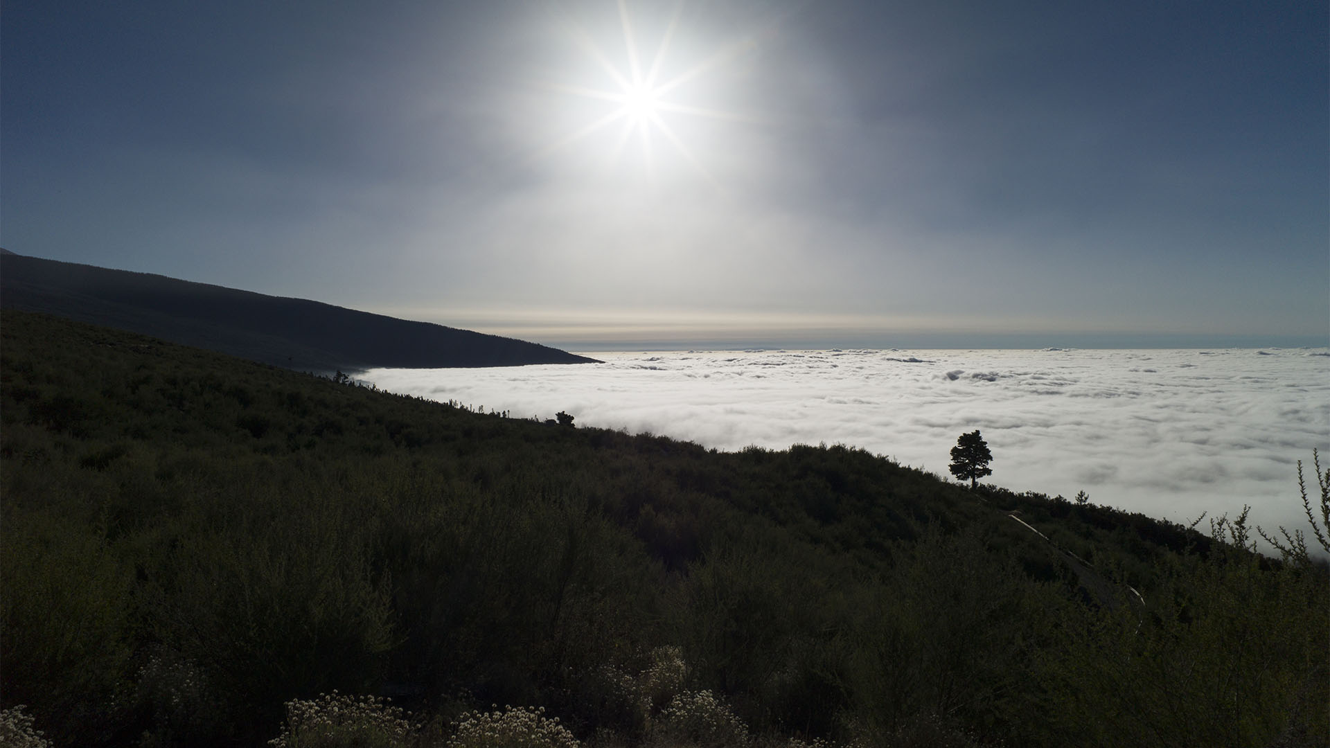 Teneriffa TF-21 – über dem Wolkenmeer der Zone Bosque termófilo.