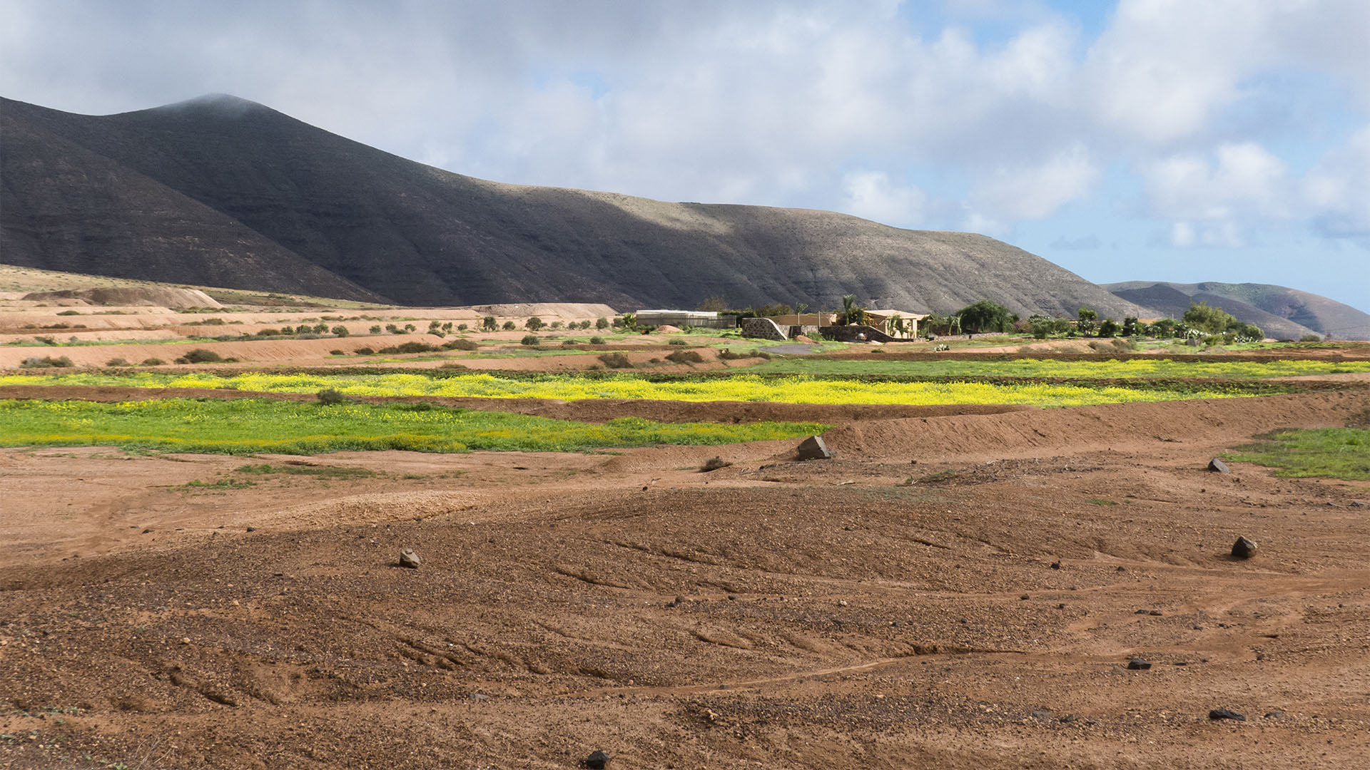 Landwirtschaft auf Fuerteventura – Trockenlandbau mit ausgeklügelten Gavias, Wasserspeicher, Kanälen.