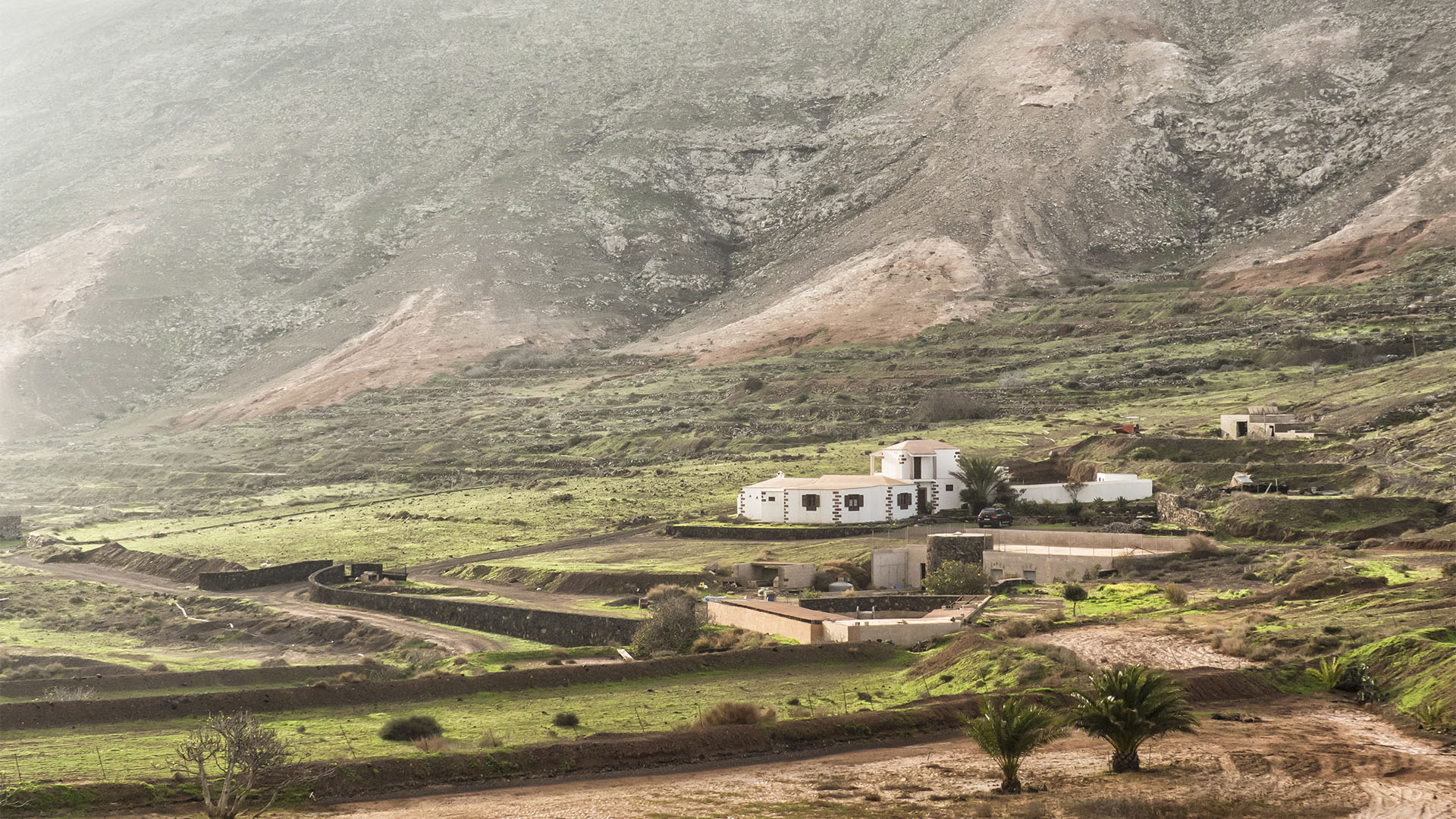 Landwirtschaft auf Fuerteventura – Trockenlandbau mit ausgeklügelten Gavias, Wasserspeicher, Kanälen.