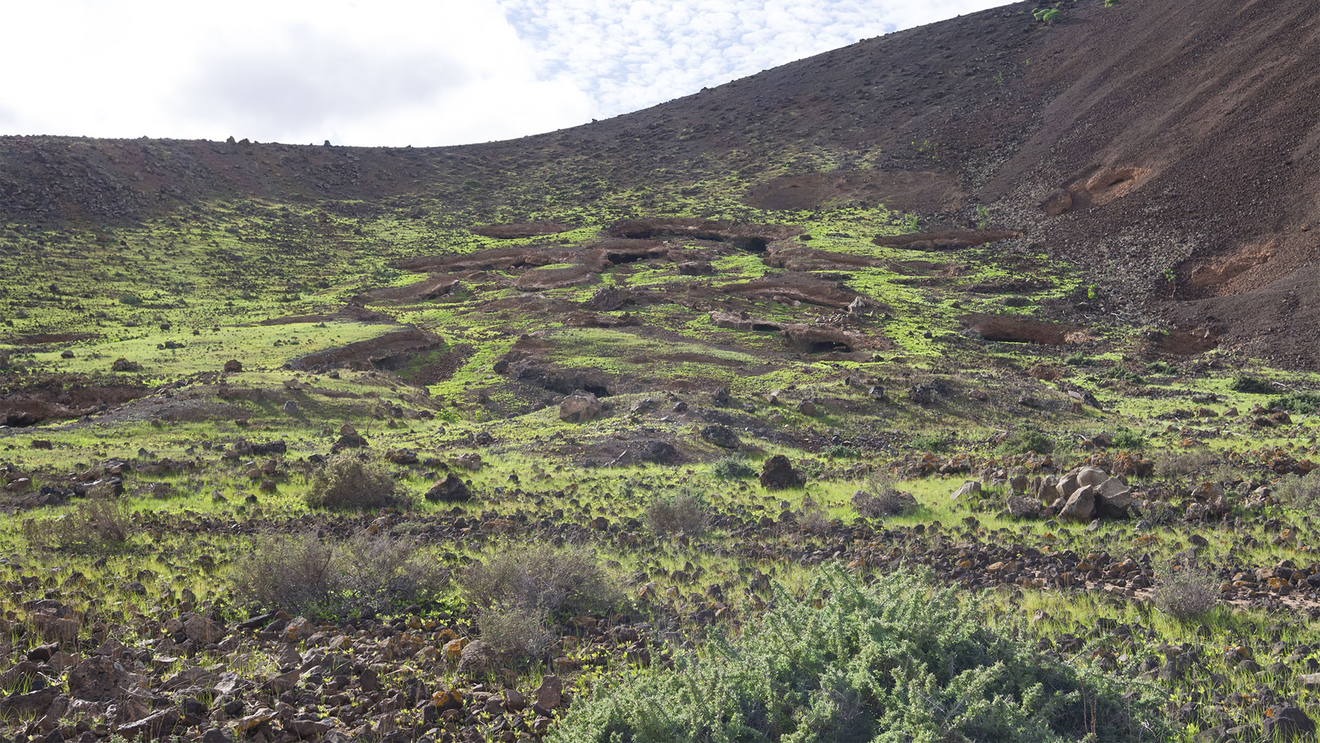 Landwirtschaft auf Fuerteventura – Trockenlandbau mit ausgeklügelten Gavias, Wasserspeicher, Kanälen.