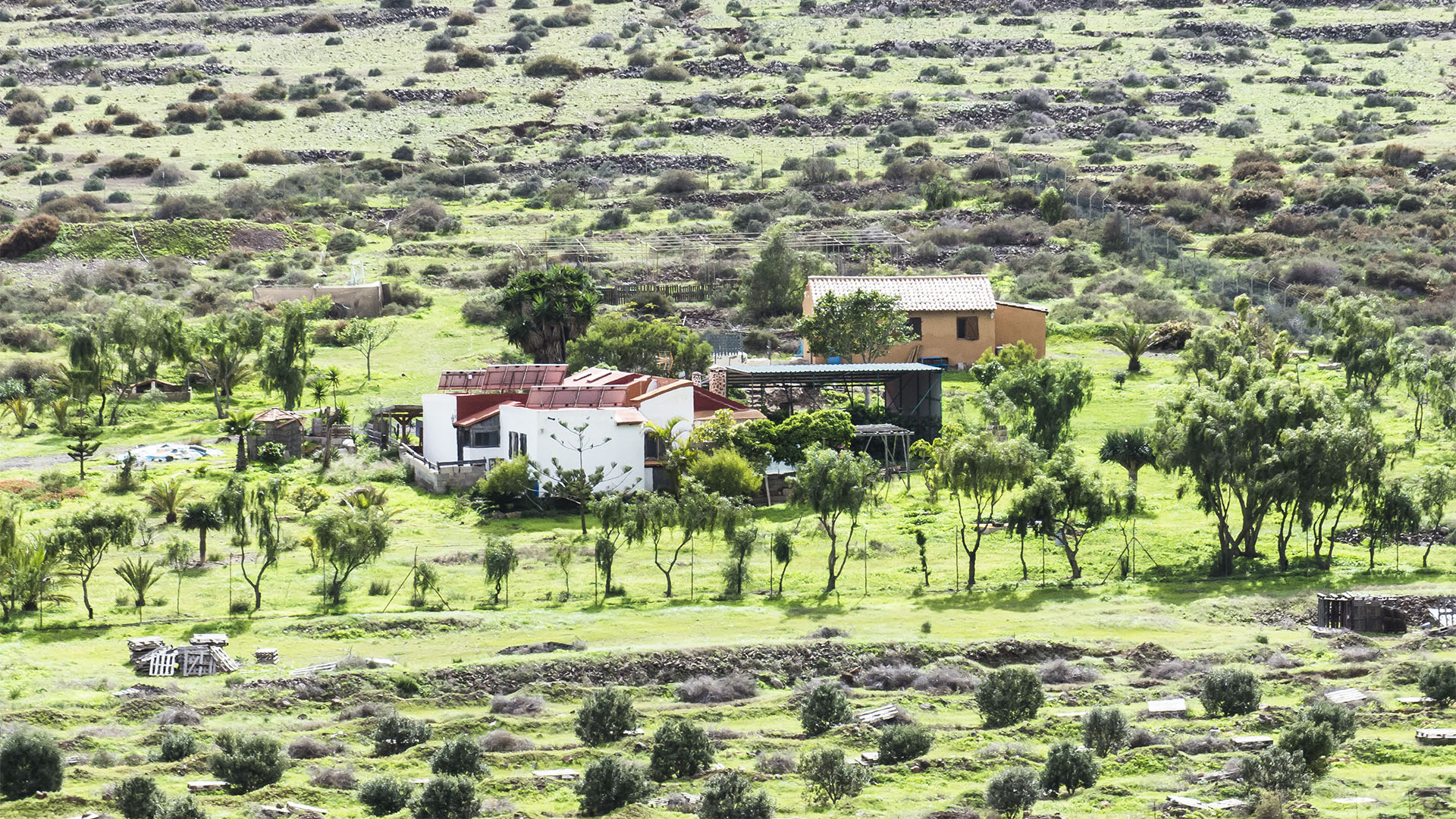 Landwirtschaft auf Fuerteventura – Trockenlandbau mit ausgeklügelten Gavias, Wasserspeicher, Kanälen.