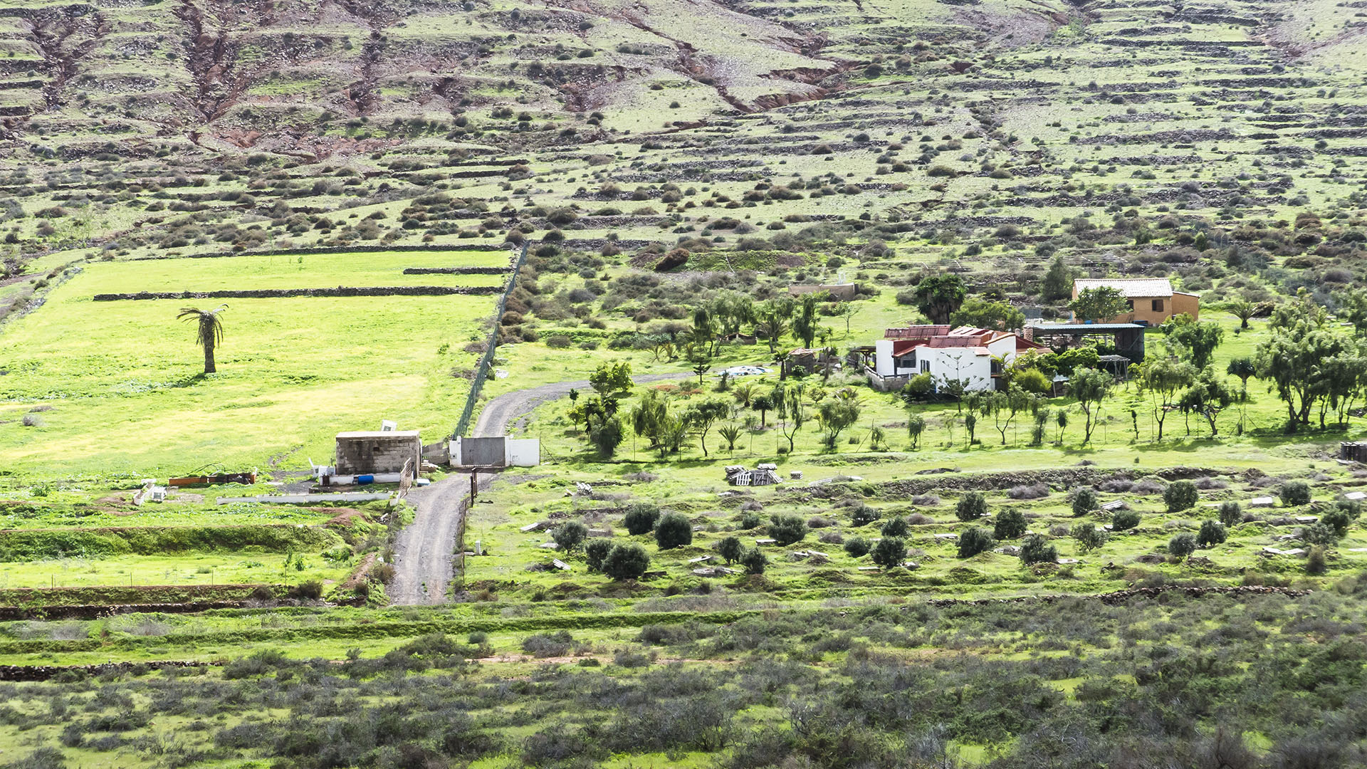 Landwirtschaft auf Fuerteventura – Trockenlandbau mit ausgeklügelten Gavias, Wasserspeicher, Kanälen.