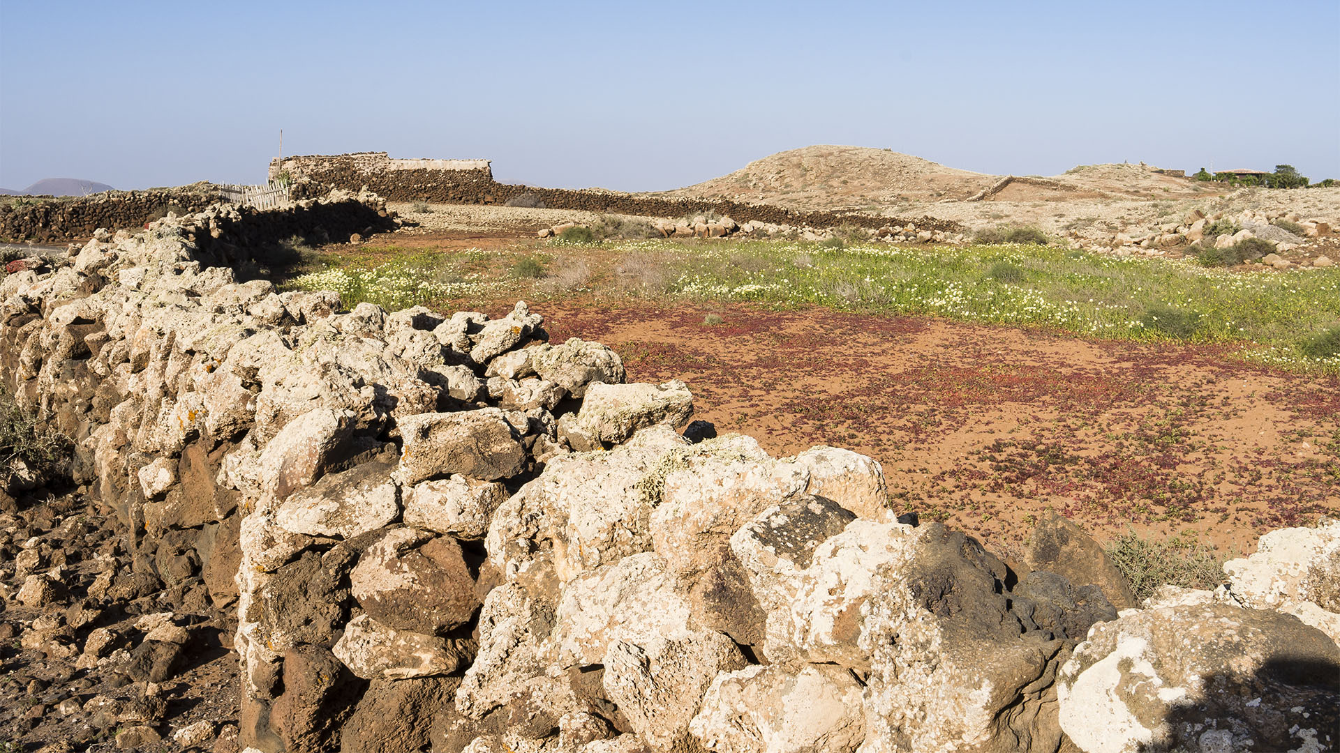 Landwirtschaft auf Fuerteventura – Trockenlandbau mit ausgeklügelten Gavias, Wasserspeicher, Kanälen.