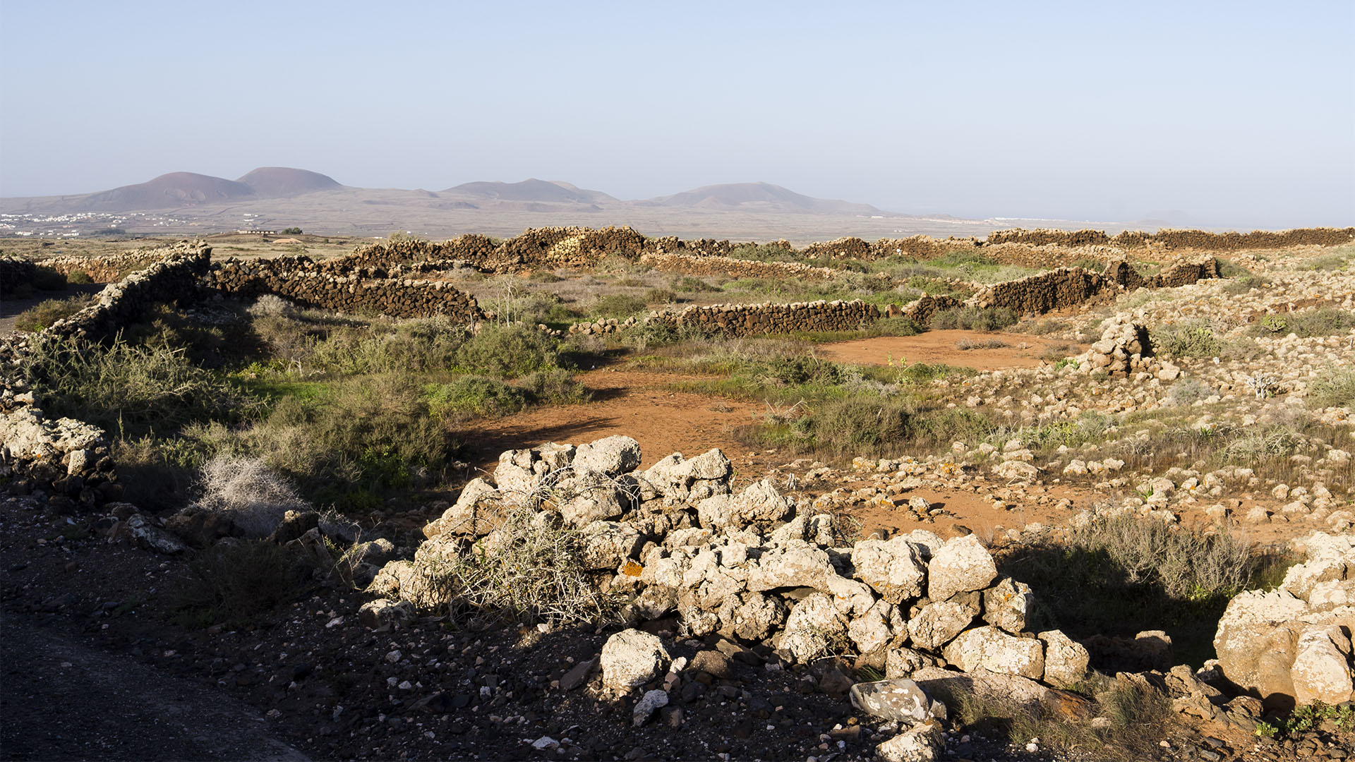 Landwirtschaft auf Fuerteventura – Trockenlandbau mit ausgeklügelten Gavias, Wasserspeicher, Kanälen.