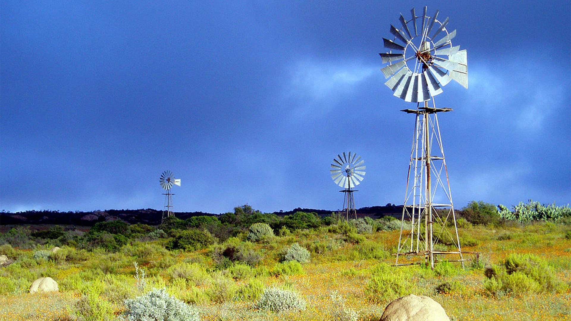 Das Chicago – die legendären Windräder der Aermotor Windmill Company Chicago auf Fuerteventura.