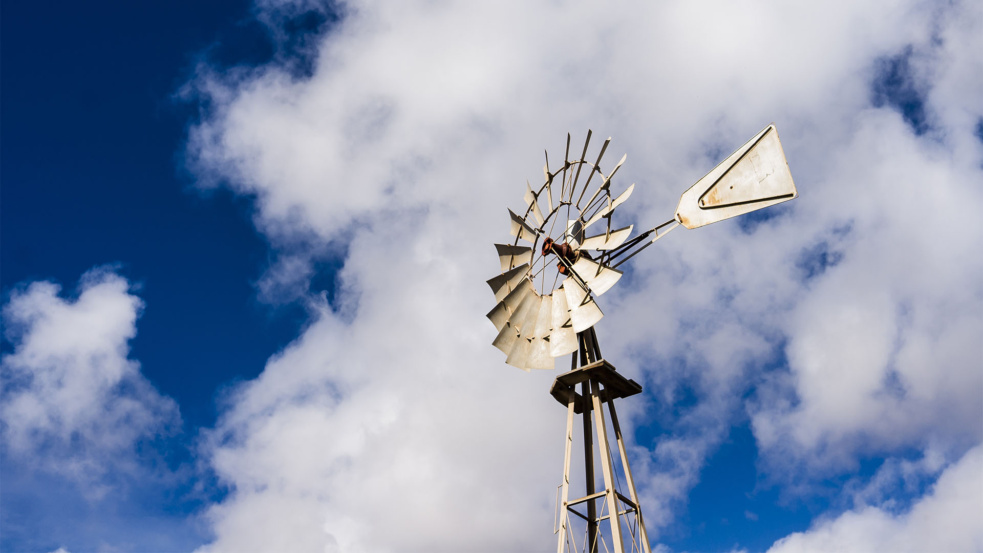 Das Chicago – die legendären Windräder der Aermotor Windmill Company Chicago auf Fuerteventura.