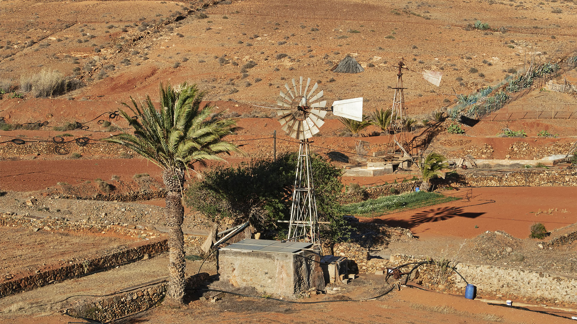 Ein Chicago auf den Feldern von Toto Fuerteventura.