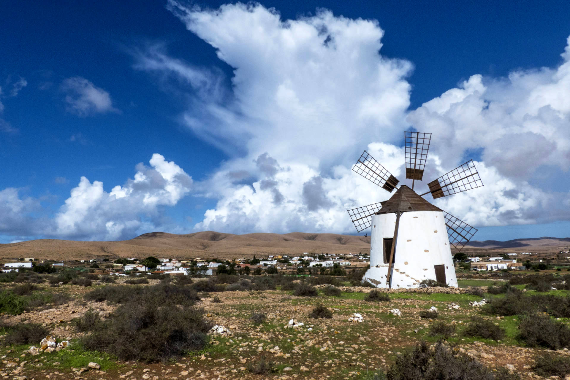Die Windmühlen von Llanos de la Concepción Fuerteventura.