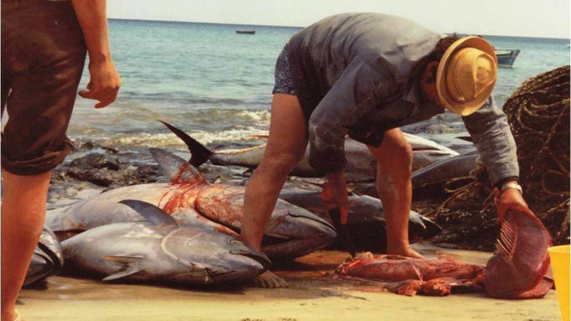 Fischereiindustrie, Konservenindustrie, Salinen Salzgewinnung auf Fuerteventura.