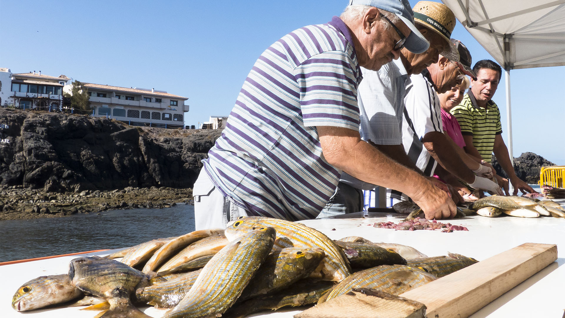 Fischereiindustrie, Konservenindustrie, Salinen Salzgewinnung auf Fuerteventura.