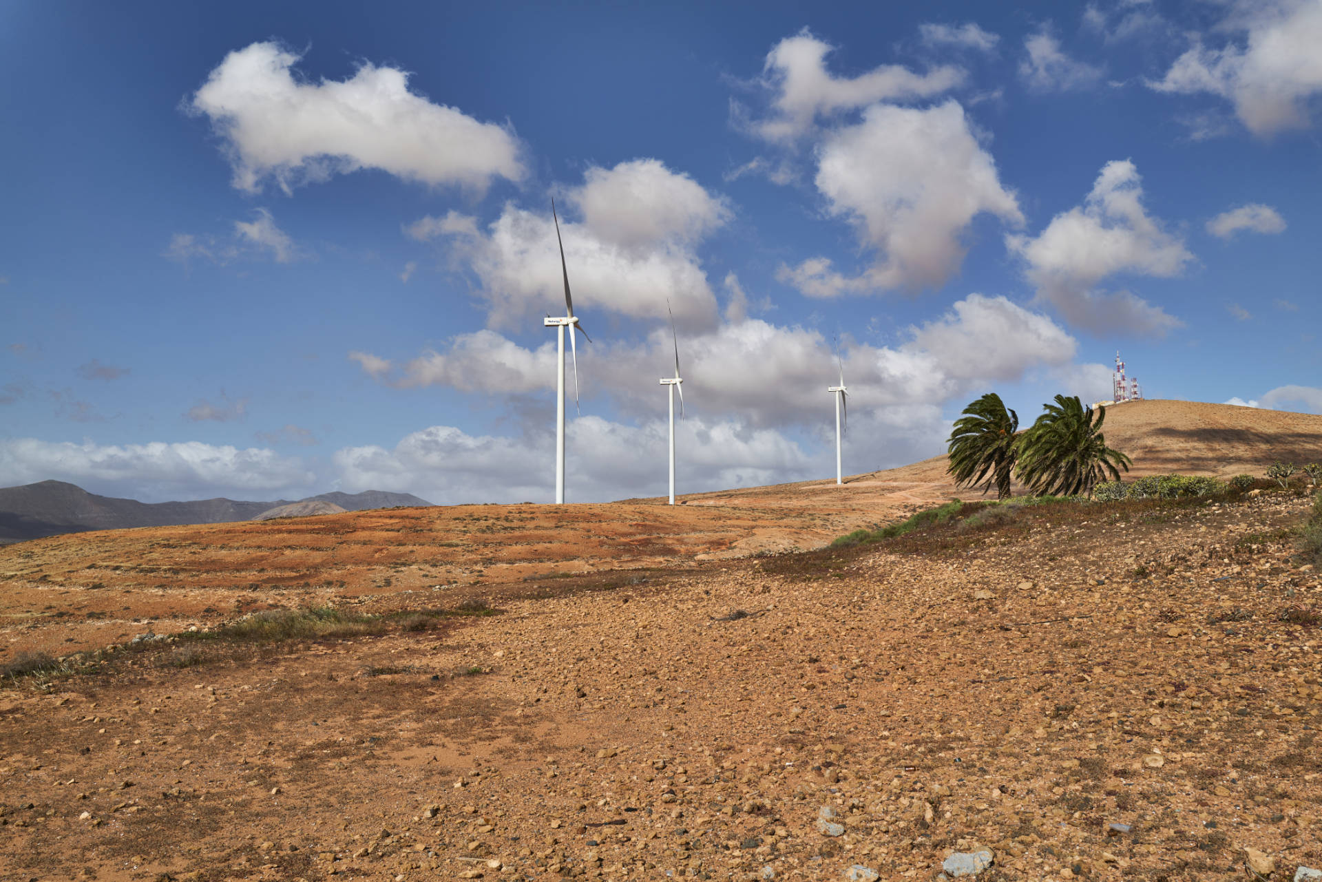 Green Energy Fuerteventura – El Time – Naturgy.